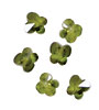 Fern Faceted Butterfly 6x6mm