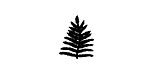 Fern Leaf Mini Rubber Stamp 12x16mm