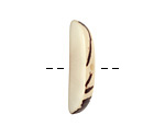 Tagua Nut Cream Splinter (center-drilled) 7-8x28-35mm