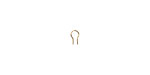 The Magic Finding Omega Insert Gold (plated) 8mm