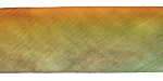 Golden Lichen Hand Dyed 100% Silk Ribbon 1"