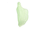 Lucite Honeydew Curved Leaf 17x30mm