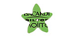 Trinket Foundry Lime Green (Mojito) Small 5 Petal Bottle Cap Flower 22mm