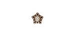 TierraCast Antique Silver (plated) Beaded Star Bead Cap 4x8mm