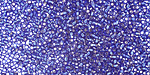 TOHO Cobalt (with Silver Lining) Round 15/0 Seed Bead