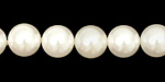 Pearly White Shell Pearl 10mm
