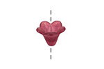 Lucite Burgundy 5 Petal Mini Bellflower 11x14mm