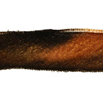 Rusty Bucket Hand Dyed Velvet Ribbon 1"