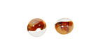 Unicorne Beads Antique Brown Teardrop 7x9mm