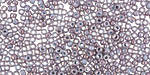 TOHO Marbled Opaque Light Blue/Amethyst Round 11/0 Seed Bead