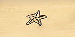 Starfish Metal Stamp 6mm