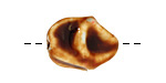 Ceramic Twisted Rice 19-21x16-17mm