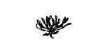 Bee Balm Mini Rubber Stamp 12x17mm