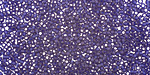 TOHO Transparent Frosted Cobalt Round 15/0 Seed Bead