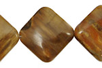 Madagascar Petrified Wood Diamond 25mm