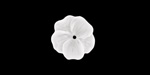 Matte Crystal Lucite Buttercup Flower 4x14mm