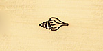 Conch Shell Metal Stamp 6mm