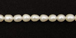 Pearly White Rice 6-7mm