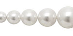 Pearly White Shell Pearl Graduated Round 8-16mm