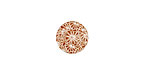 Lillypilly Bronze Weathered Daisy Anodized Aluminum Disc 11mm, 24 gauge