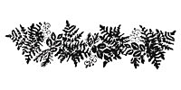 Fern Border Rubber Stamp 65x20mm