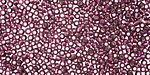 TOHO Amethyst (with Silver Lining) Round 11/0 Seed Bead