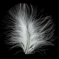 Ivory Marabou Feather 100-152mm