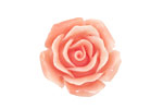 Coral (imitation), Angel Skin Pink Carved Rose 25mm