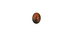 Mahogany Obsidian Oval Cabochon 6x8mm