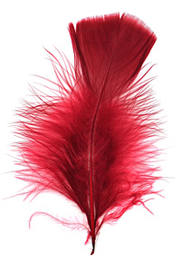 Mulberry Turkey Flat Feather 100-152mm