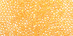 TOHO Transparent Rainbow Frosted Light Topaz Round 11/0 Seed Bead