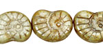 Czech Glass Luster Pistachio Ammonite 20x13mm