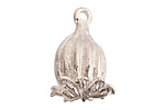 Nunn Design Sterling Silver (plated) Large Poppy Pod Charm 20x28mm