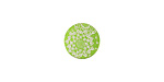 Lillypilly Lime Green Dahlia Anodized Aluminum Disc 11mm, 24 gauge