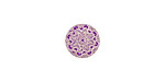 Lillypilly Purple Lace Anodized Aluminum Disc 11mm, 24 gauge