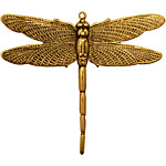 Stampt Antique Gold (plated) Emperor Dragonfly Pendant 50x43mm