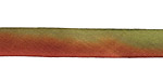 Leaves Turning Hand Dyed 100% Silk Ribbon 7/16"