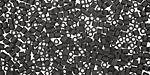 TOHO Opaque Frosted Jet Hex 11/0 Seed Bead