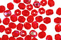 Czech Fire Polished Glass Siam Ruby AB Round 4mm