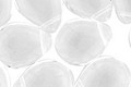 Czech Glass Crystal Teardrop 12x16mm