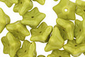 Czech Glass Wasabi Green 5 Point Bellflower 6x9mm