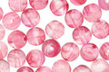 Czech Glass Crystal/Pink Round 6mm