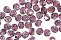 Czech Fire Polished Glass Luster Transparent Amethyst Round 4mm