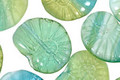 Czech Glass Peruvian Opal Ammonite 20x13mm