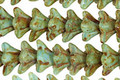 Czech Glass Picasso Blue Green 5 Point Bellflower 6x9mm