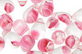 Czech Glass Crystal/Pink Teardrop 6x9mm