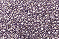 TOHO Gold Lustered Pale Wisteria Treasure #1 Seed Bead