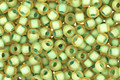 TOHO Jonquil (with Frosted Opaque Green Lining) Round 11/0 Seed Bead