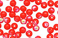 Czech Glass Matte Opaque Dark Hyacinth AB Round 4mm