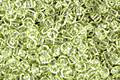 TOHO Transparent Citrus Spritz Round 11/0 Seed Bead